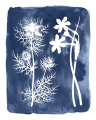 Botanical Inverse III