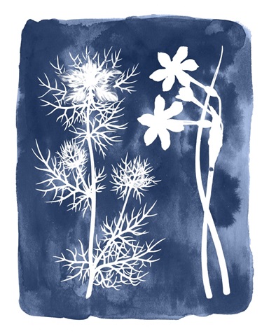 Botanical Inverse III