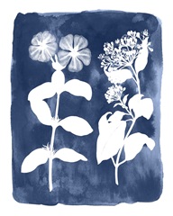 Botanical Inverse IV