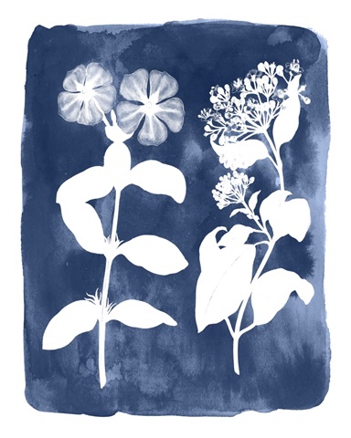 Botanical Inverse IV