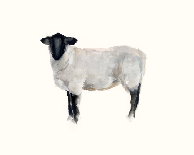 Farm Animal Study I