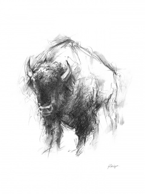 Western Animal Sketch I