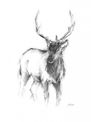 Western Animal Sketch II