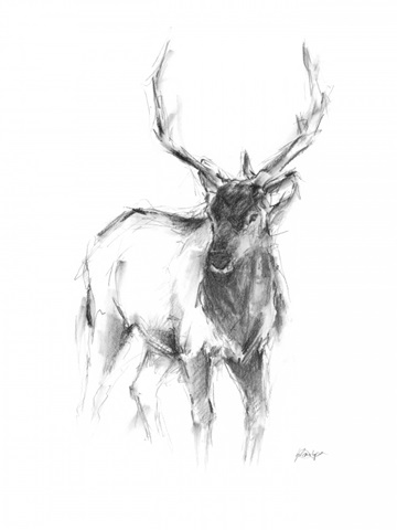 Western Animal Sketch II