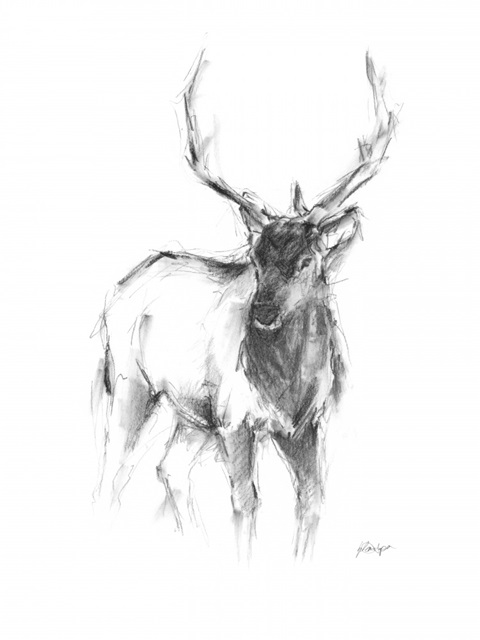 Western Animal Sketch II