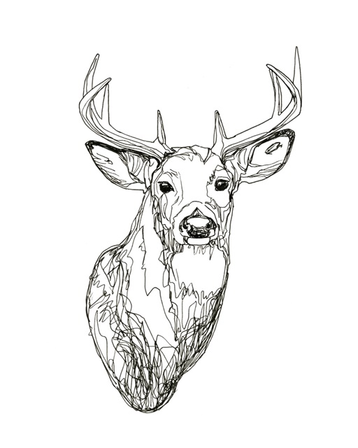 Whitetail Wireframe I