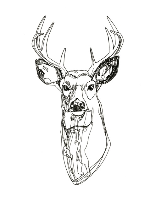 Whitetail Wireframe II