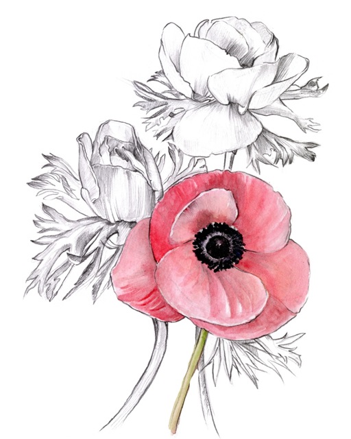 Anemone by Number I