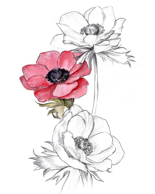 Anemone by Number II