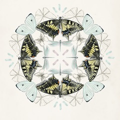 Butterfly Mandala I