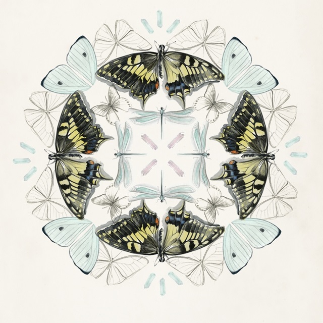 Butterfly Mandala I