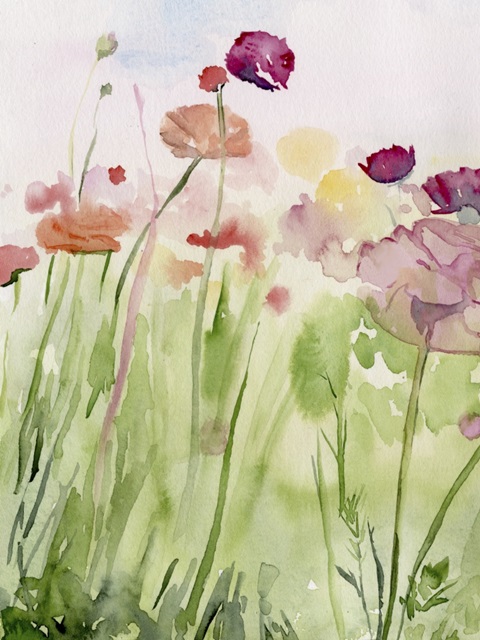Among the Watercolor Wildflowers I