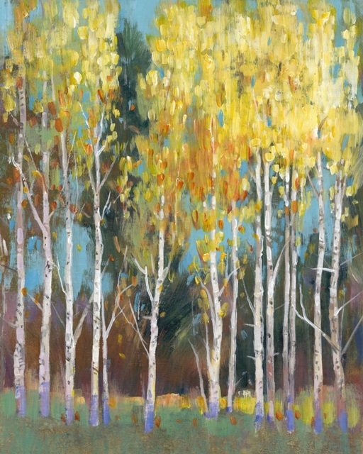 Aspen Grove II