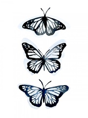 Blue Butterfly Trio II