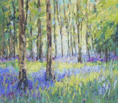 Bluebell Woods