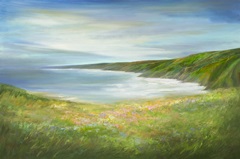 California Coastline