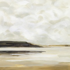 Cloudy Coast I