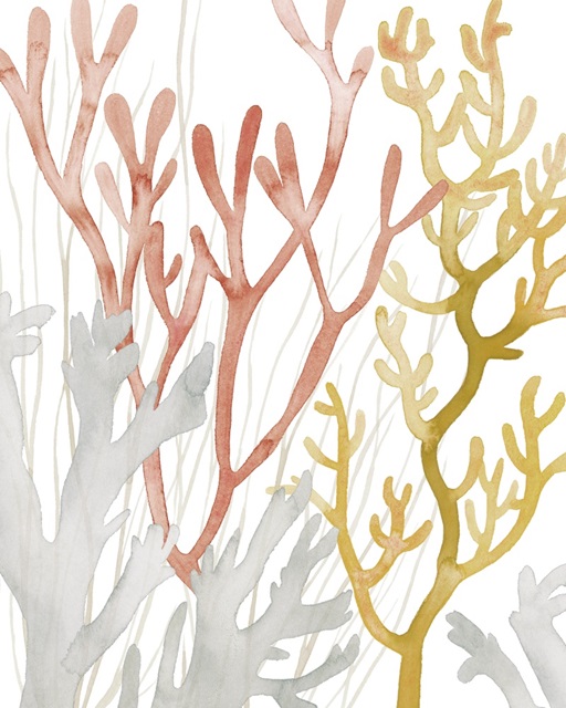 Desert Coral I