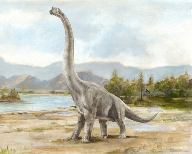 Dinosaur Illustration IV