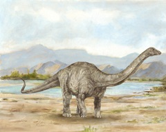 Dinosaur Illustration V