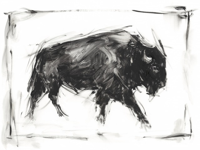 Dynamic Bison I