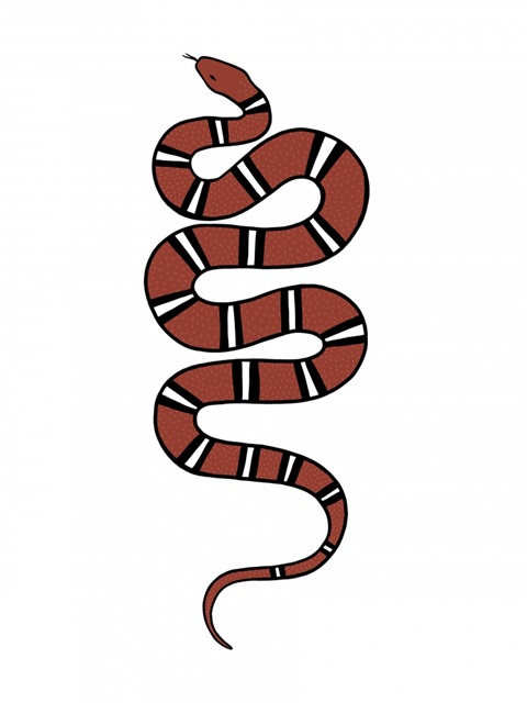 Epidaurus Snake VI