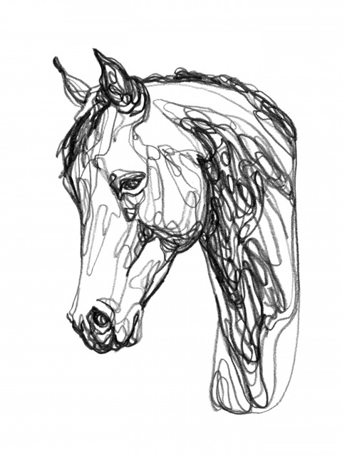 Equine Contour II