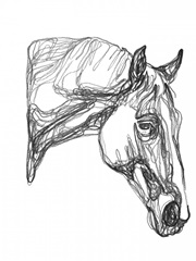 Equine Contour III