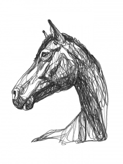 Equine Contour IV