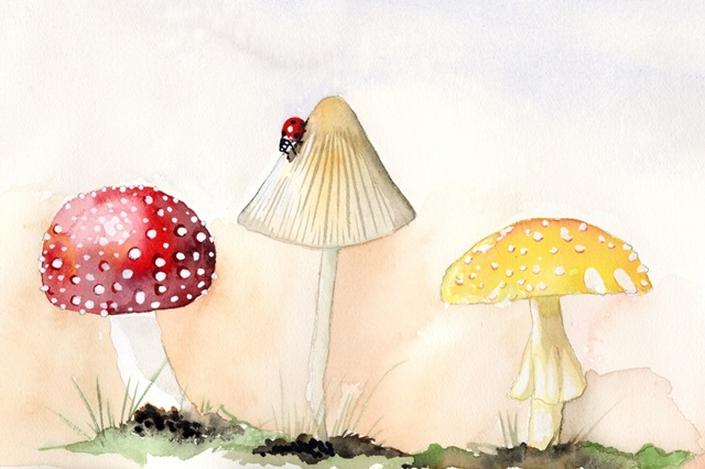 Faerie Mushrooms I