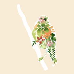 Foliage and Feathers III