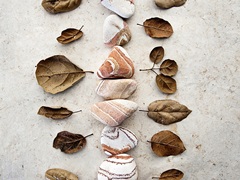 Gifts of the Earth V