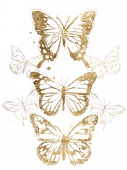 Gold Butterfly Contours I