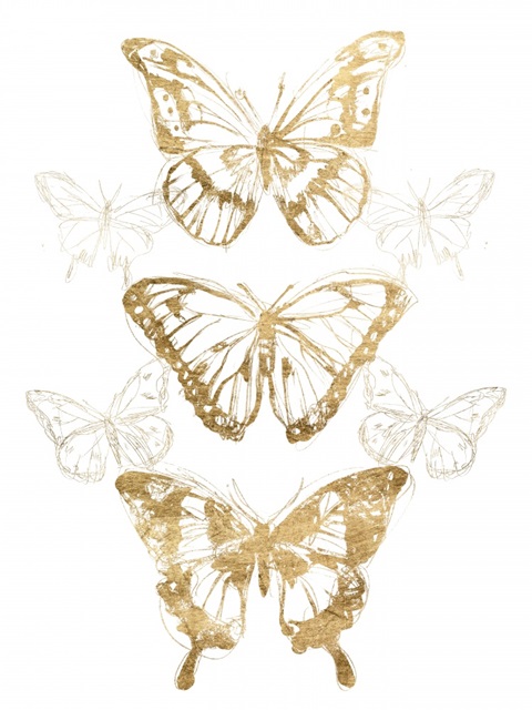 Gold Butterfly Contours II