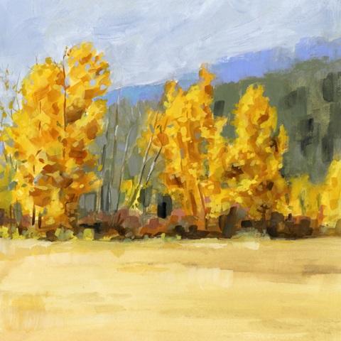 Golden Aspen Trees II