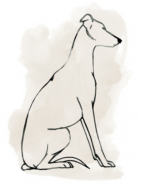 Greyhound Sketch I