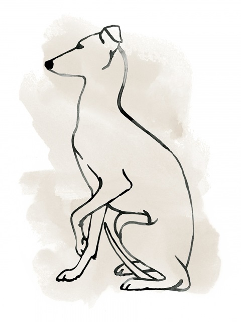 Greyhound Sketch II