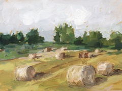 Hay Field I