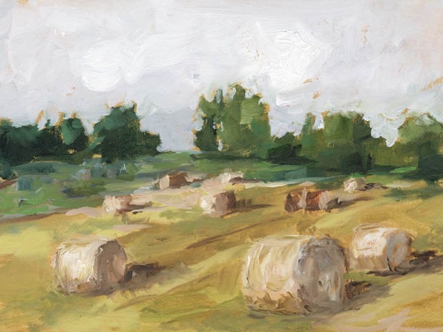 Hay Field I