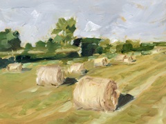 Hay Field II