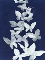 Indigo Butterfly Falls I