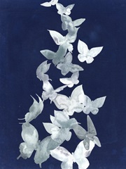 Indigo Butterfly Falls II