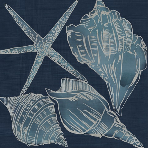 Marine Shells III