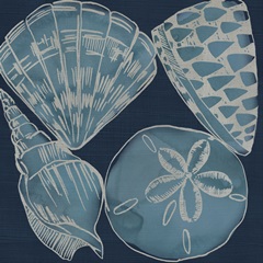 Marine Shells IV