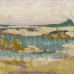 Marsh Impressions I