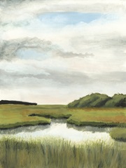 Marsh Landscapes II
