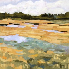 Marsh View II