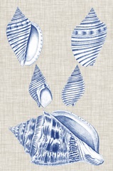 Navy and Linen Shells III