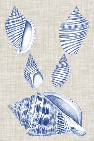 Navy and Linen Shells III