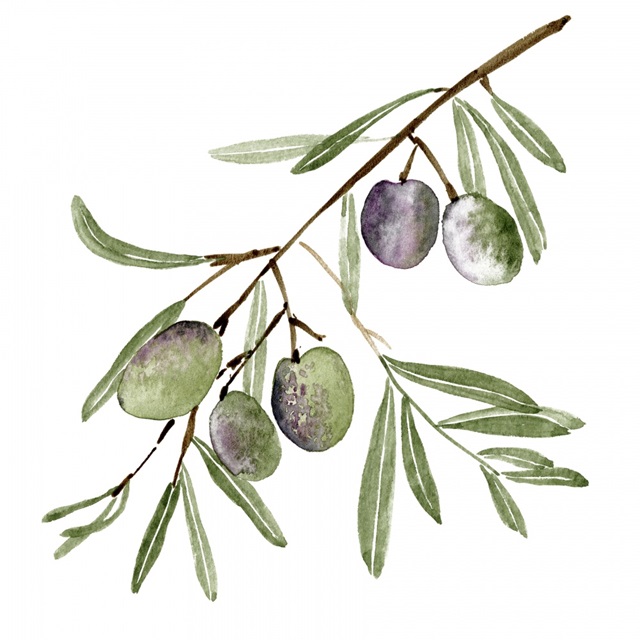 Olive Branch I